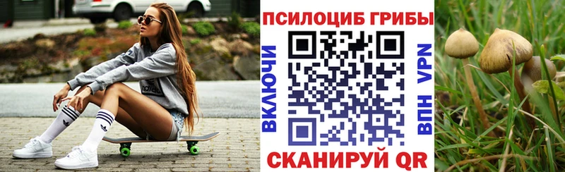 хочу наркоту  Среднеуральск  Псилоцибиновые грибы MAGIC MUSHROOMS 